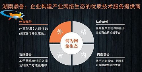 二十年網(wǎng)絡(luò)營銷實戰(zhàn)專家談 國內(nèi)企業(yè)網(wǎng)絡(luò)營銷推廣的“道、法、術(shù)”